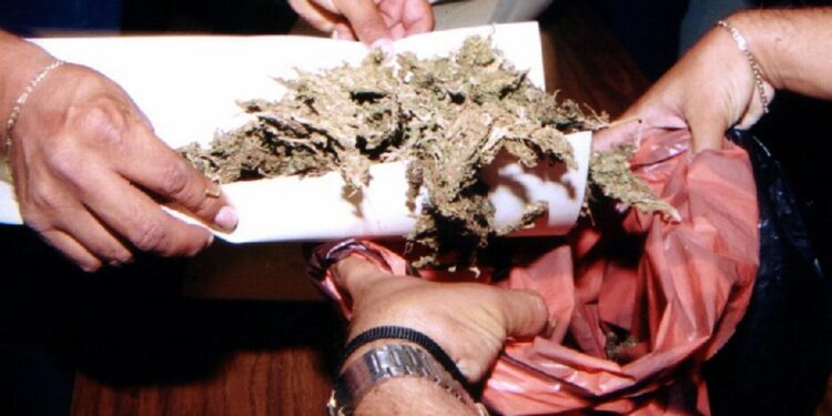 Agiva nel Vicentino vendendo hashish e marijuana