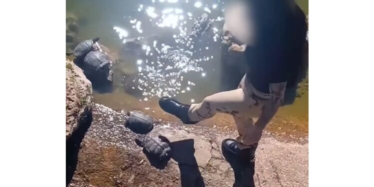 Ragazza ripresa in video condiviso