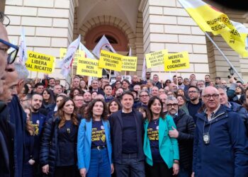 'Fatto un torto ai Cinquestelle e a tutti i calabresi'