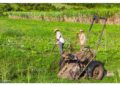 Il progetto presentato dal Ministero dell'Agricoltura dell'Avana