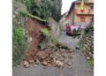 Intervento dei vigili del fuoco nel parco di Villa Somaini