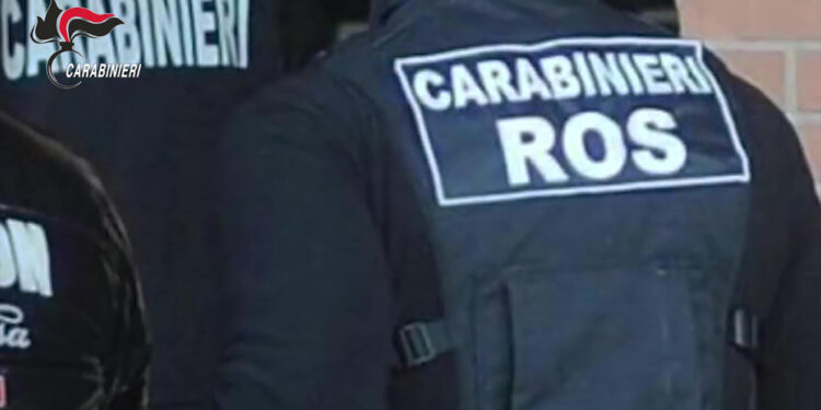 Inchiesta Dda Catanzaro coordinata con Trento e Venezia.