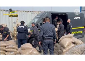 Sul mercato avrebbe fruttato 187 milioni di euro