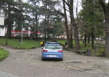 baby gang risse monza