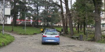 baby gang risse monza