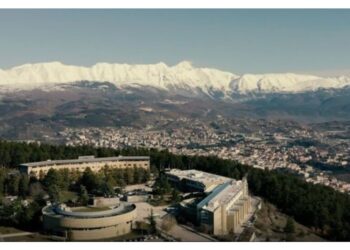 Video dell'attivista Rizzi