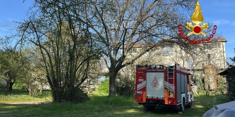 In tre stavano potando gli alberi in un giardino