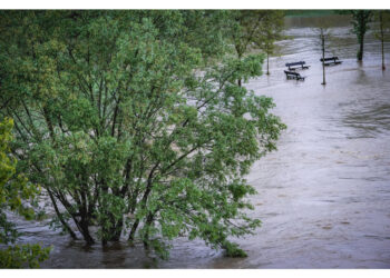 Il colmo della piena atteso a Piacenza nelle prime ore di domani