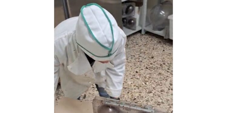 Prodotte nel Foggiano da un gruppo di diversamente abili