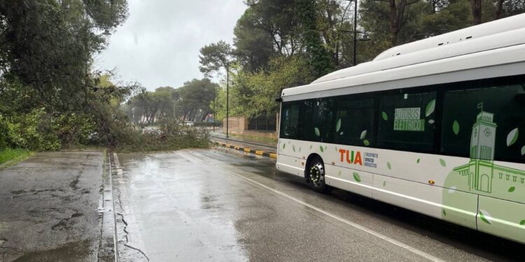 Fase fredda durerà almeno fino a mercoledì