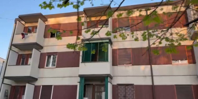 Sempre ricercato il compagno