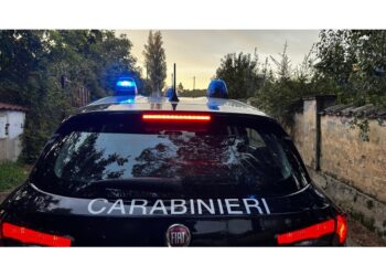 Forse c'è un collegamento
