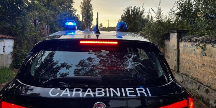 Forse c'è un collegamento