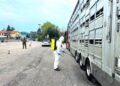 Disinfettori a Gorizia e Trieste sanificano mezzi con animali