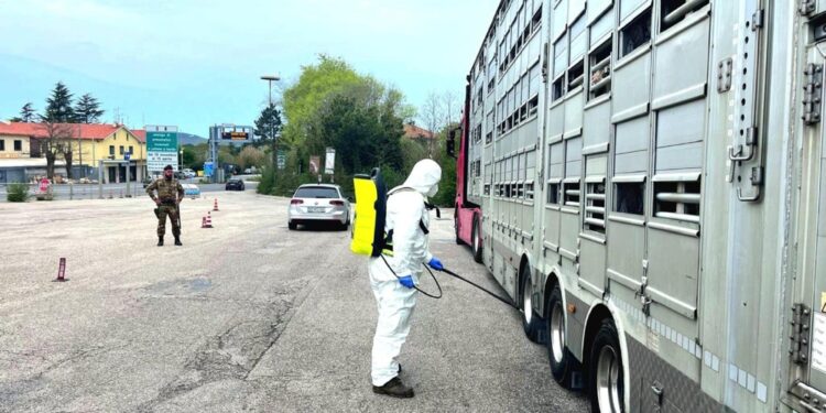 Disinfettori a Gorizia e Trieste sanificano mezzi con animali