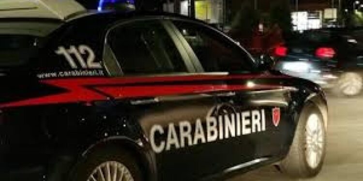 Intercettato in nottata tra Sacile e il confine con il Veneto