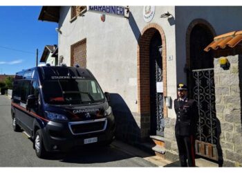 Ha ferito gravemente un'anziana di 87 anni a Vigliano
