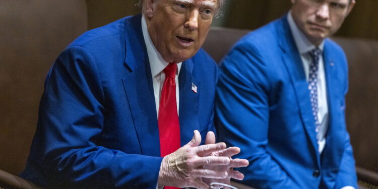 E' idoneo a svolgere i compiti di Commander-in-chief