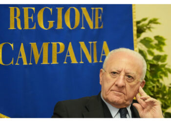 Domani l'udienza sul ricorso del Cdm