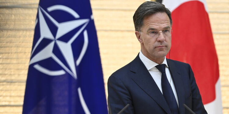 Accordo con Palantir. Uso del sistema per comando e soldati