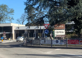 Si cerca sistema informatico del captatore