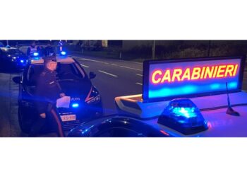 L'anziano denunciato per porto abusivo di armi e lesioni