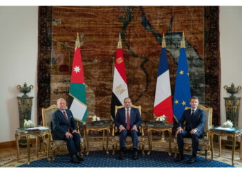 Presidente francese organizza videocall