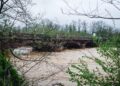 Decine di interventi per frane e alberi abbattuti