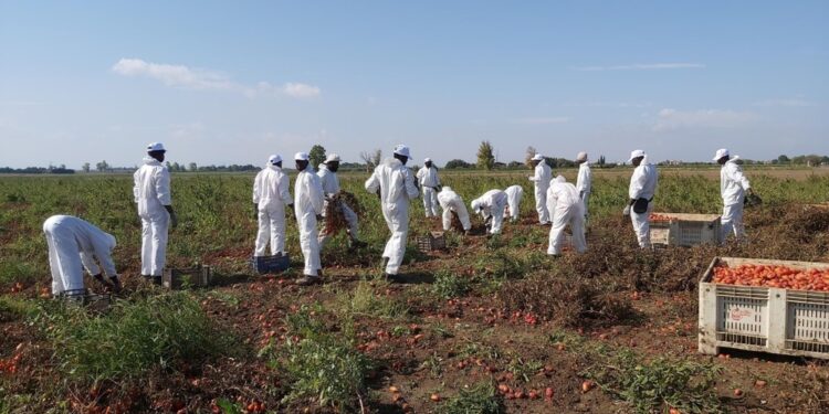 Anche frode alimentare e commercio di alimenti con segni mendaci