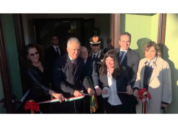 'Fatta di persone senza onore che hanno disonorato la Calabria'