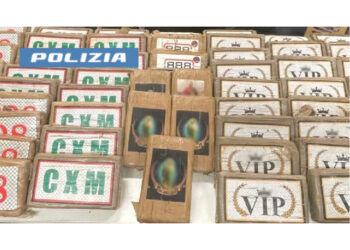Polizia ha bloccato carico che avrebbe fruttato 10 milioni