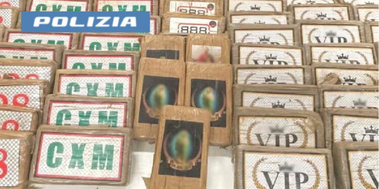 Polizia ha bloccato carico che avrebbe fruttato 10 milioni