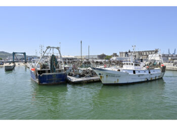 Omaggio pescatori della Bassa friulana con ricordo dell'udienza