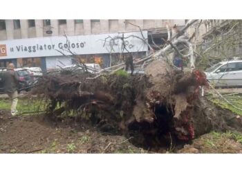 Danneggiato un edificio ma non ci sono persone coinvolte