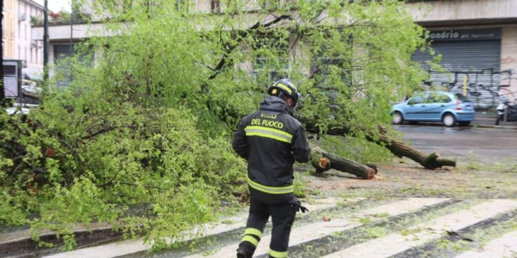 Numerosi gli alberi e i rami caduti