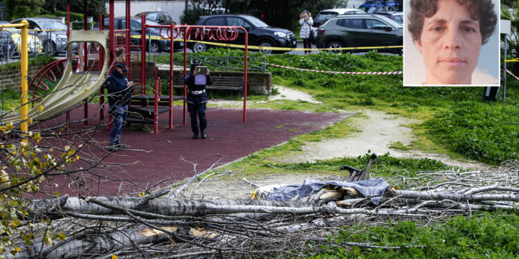 Nell'ambito dell'indagine sulla morte di Francesca Ianni