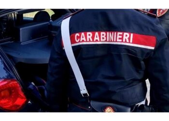 50enne arrestato dai carabinieri a Monte Roberto (Ancona)