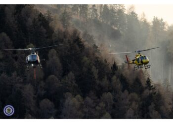 Foto di Ceska del cerbiatto tra le ceneri e i colleghi al lavoro
