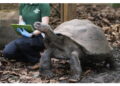 Allo zoo di Filadelfia
