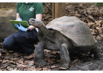Allo zoo di Filadelfia