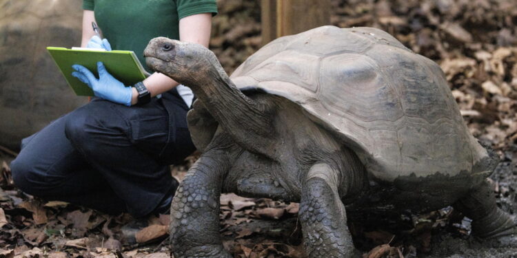 Allo zoo di Filadelfia