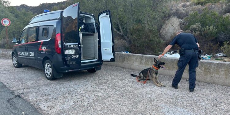 Accusato di averla uccisa