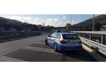 Contestato omicidio premeditato e aggravato di Giada Zanola