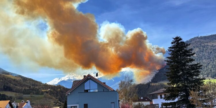 In zona ci sono stati già 3 incendi nel 2025 e 15 nel 2024