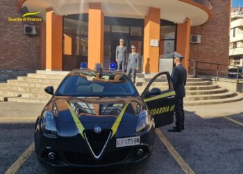 Finanza Erba