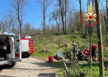 Un ciclista è caduto nel Parco del Lura