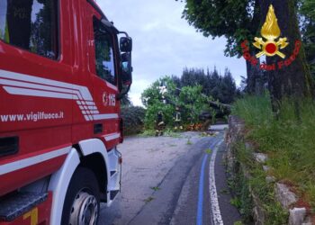 Vigili del fuoco in carenza d'organico