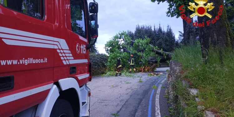 Vigili del fuoco in carenza d'organico