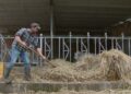 aziende agricole comasche