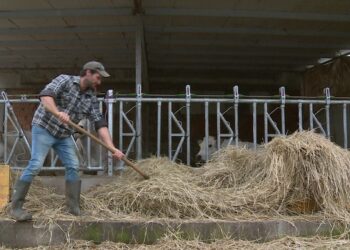 aziende agricole comasche